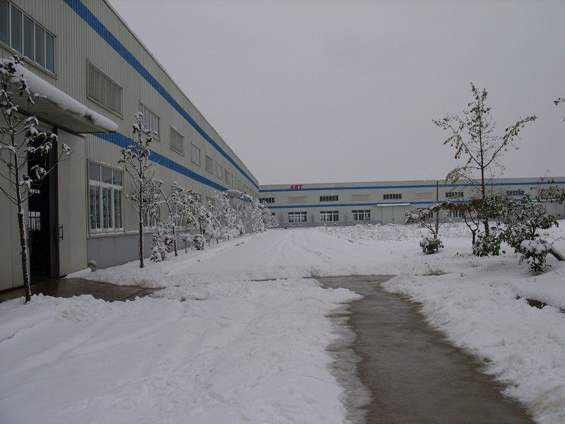 2009.11.7公司雪景.JPG